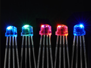 Five NeoPixel 5mm Through-Hole LEDs glowing rainbow