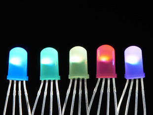Five NeoPixel Diffused 5mm Through-Hole LEDs glowing rainbow