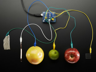Top view of Capacitive Touch Shield for Arduino connected to various fruits and objects via alligator clips. 
