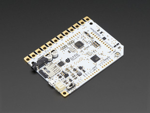 Bare Conductive Touch Board with many alligator pads