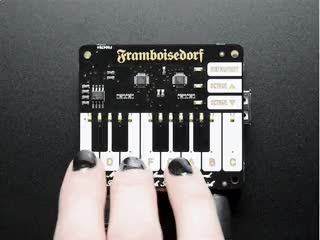 Video of a white hand playing an assembled Pimoroni Piano HAT