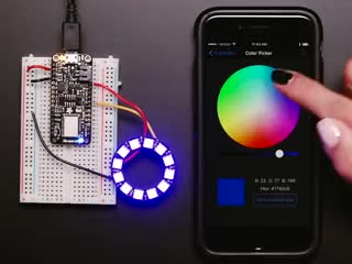 Video of an LED ring assembled on a half-size breadboard and microcontroller. A white hand changes the color of the LED ring by tapping colors on an app on a smart phone.