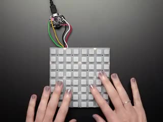 Hand pressing buttons that light up on a Adafruit NeoTrellis RGB Driver PCB for 4x4 Keypad.