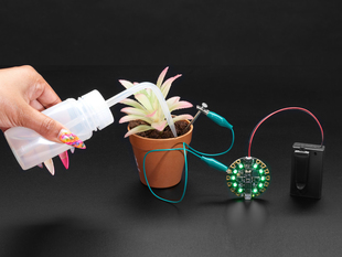 Hand squeezing a water bottle into a potted plant with metal nail stuck into soil. Nail connects to Circuit Playground lit up green.