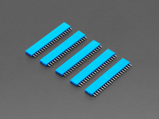 Five pack of 20-pin 0.1 Female Header - Blue plastic