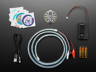 Top view shot of Adafruit + Cartoon Network Cosplay Introductory Kit; Stickers, Circuit Playground Express, Neopixal Strip w/ Alligator Clip-on, 3 AAA Battery & case. 