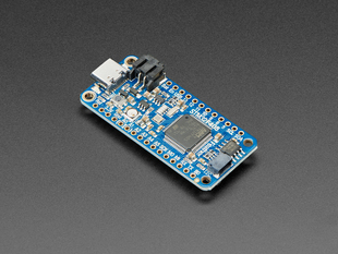Angled shot of a blue rectangular microcontroller.