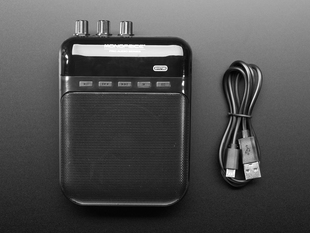 Monoprice 5-Watt Guitar Amplifier and  Portable Recorder