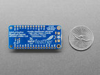 Back of blue, rectangular microcontroller next to US quarter for scale.