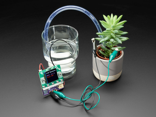 Adafruit Bonsai Buckaroo - micro:bit & CLUE Plant Care Helper connected to a plant and a cup of water with alligator clips. Display reads "CLUE Buckaroo, Soil: 3.1K, Motor Off"