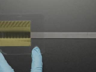 Video of a blue gloved hand running a square piece of magnet film along a long, skinny rectangular magnet. 