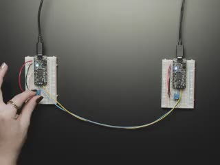 Video of 2 Adafruit Feather M4 CAN Express with ATSAME51 connected to white breadboards. Black polished hand turning the knobs on each board. 