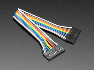 Angled shot of 20cm long 12-pin 2.54mm pitch jumper cable.