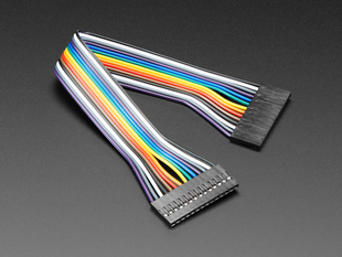 Angled shot of 20cm long 14-pin 2.54mm pitch jumper cable.