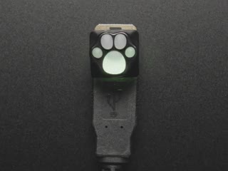 Top view of video of assembled black and white paw print keycap. An RGB LED glows rainbow spectrum colors under the translucent silicone of the paw.