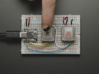 Video of breakout PCB installed on breadboard with key caps and switches. A finger reaches down to press the keys which light up rainbow colors.