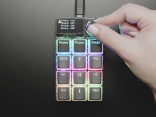 Top view video of black pudding keycaps assembled on a MacroPad. A manicured hand twists the rotary knob, changing the spectrum of rainbow colors glow through the keycaps.
