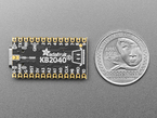 Back of short black microcontroller next to US quarter for scale.
