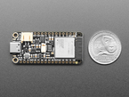 Back of rectangular microcontroller next to US quarter for scale.