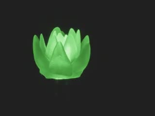 Close-up video of a succulent-shaped LED rotating to show all the sides and details. The LED glows green light.
