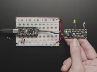 Overhead video of a GPIO expander breakout wired to two LEDs and a microcontroller on a breadboard. A hand presses a button on the bottom of the GPIO expander, individually lighting up the yellow and blue LEDs. 