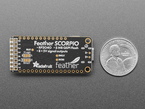 Back of rectangular microcontroller next to US quarter for scale.