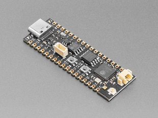 Angled shot of long skinny black microcontroller.