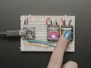 Video of a blue-manicured finger pressing two CHOC key switches with NeoPixels.