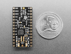 Back of black, rectangular microcontroller next to US quarter for scale.