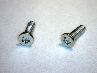 Two small Pentalobe screws